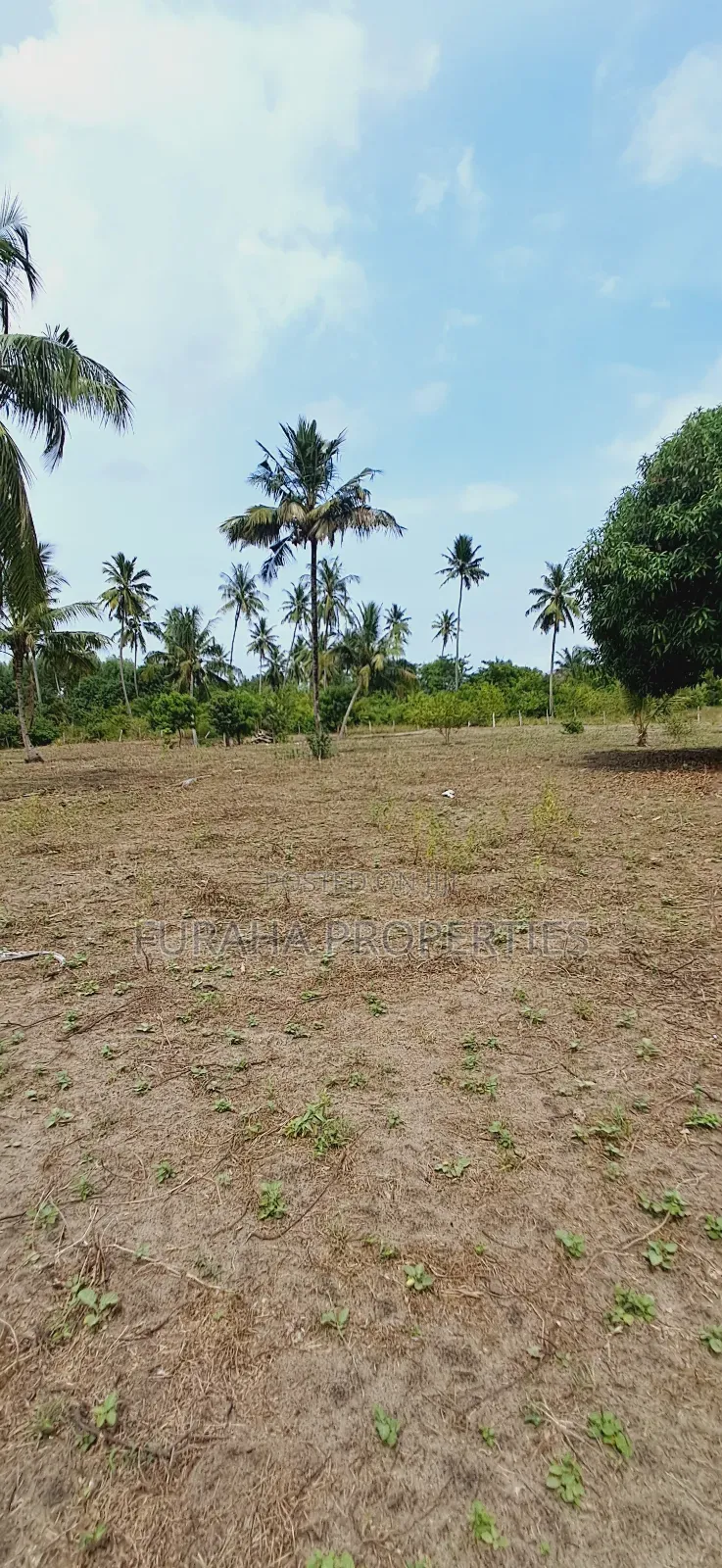 For Sale 2 Acres Land Msambweni
