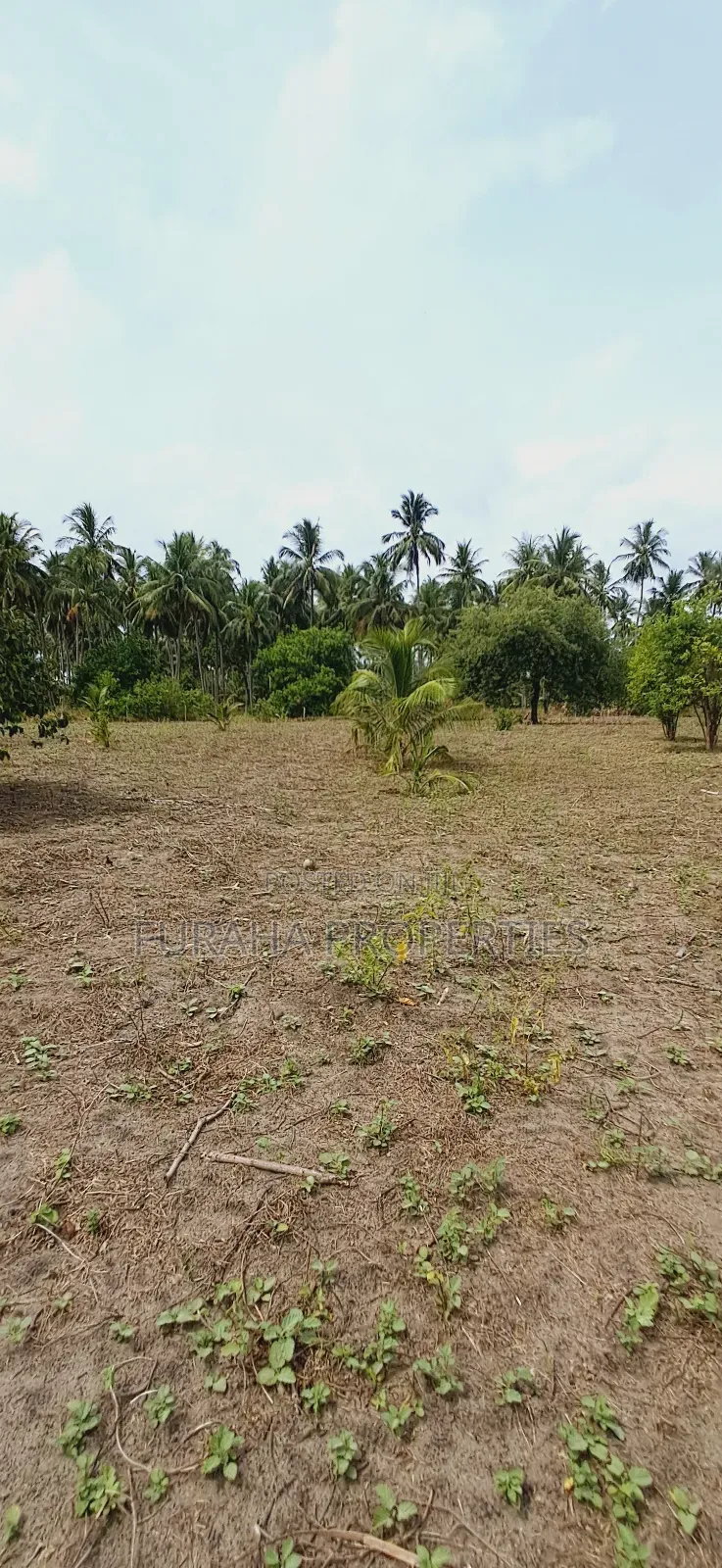 For Sale 2 Acres Land Msambweni