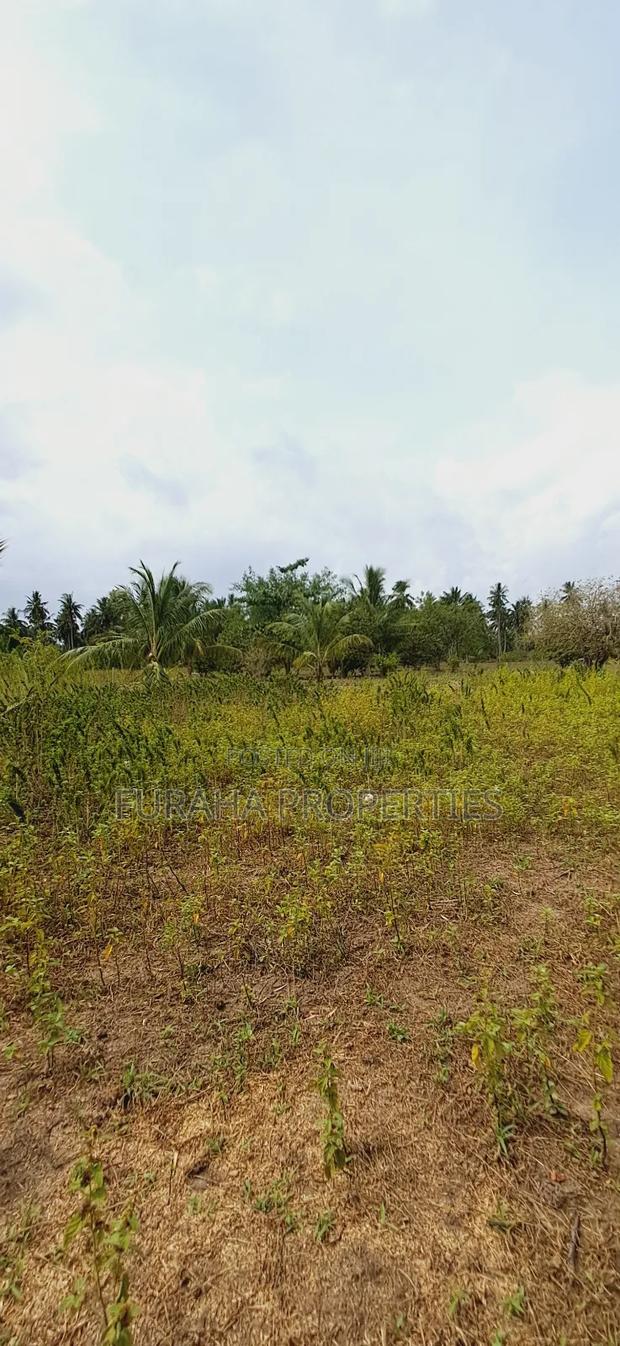For Sale 2 Acres Land Msambweni - thumbnail 8