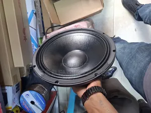 Martin Audio Mr12h69d 12 Inch Naked Speaker
