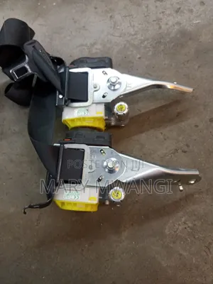 Lexus 450 Seatbelts