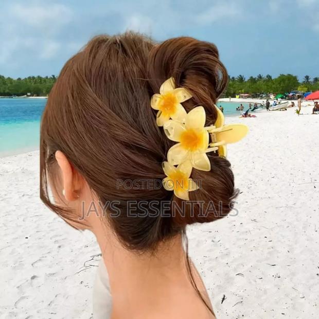 Variety of Colorful Hair Clips