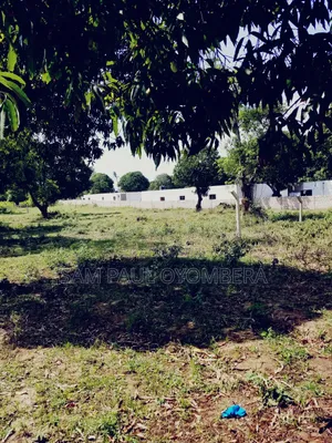 Malindi Airport View Garden