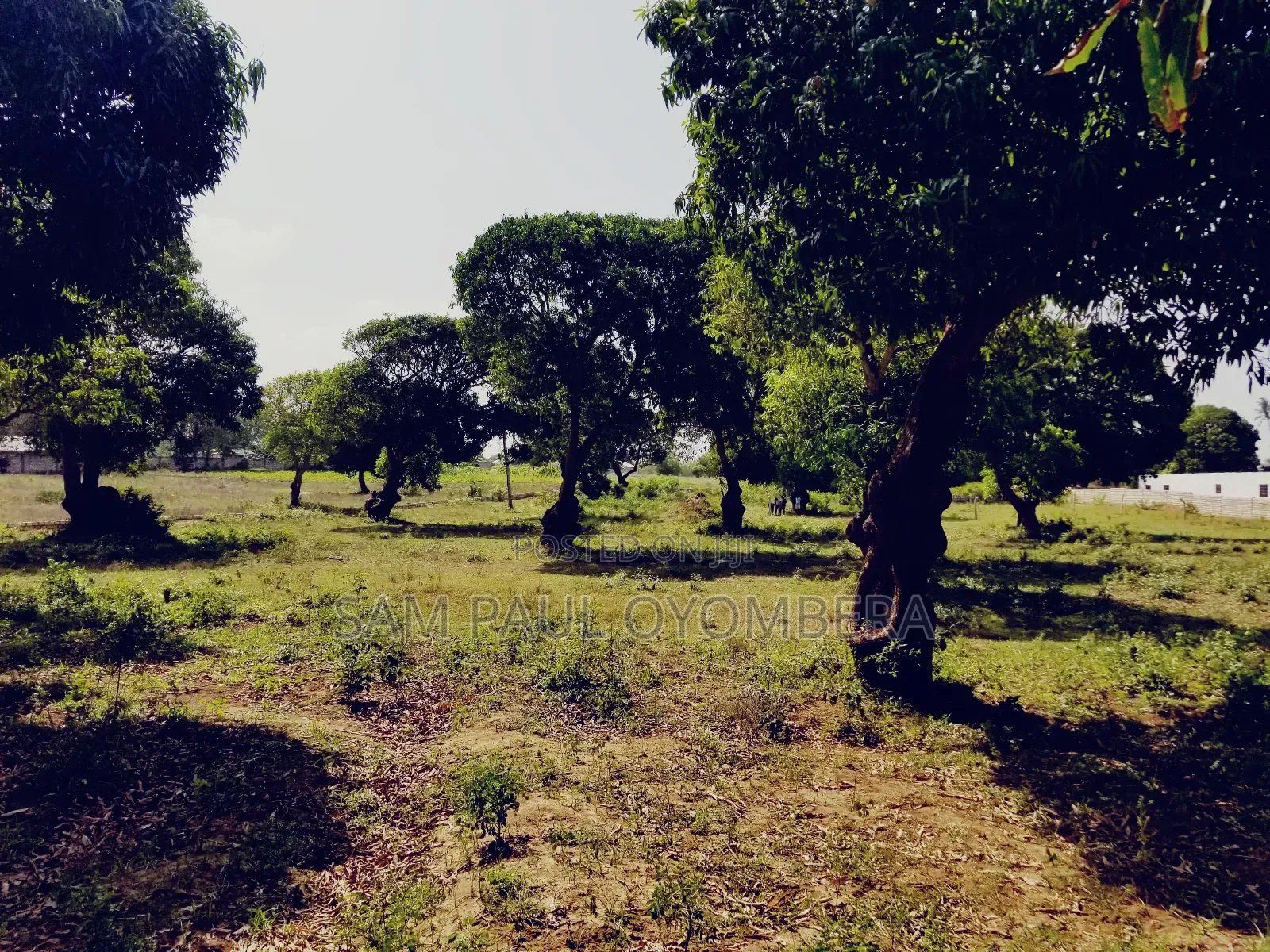 Malindi Airport View Garden