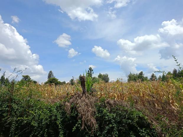 1 Acre Royal