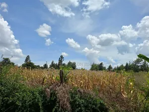 1 Acre Royal
