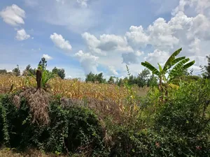 1 Acre Royal