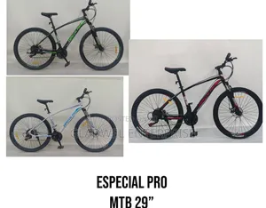 New in Market Size 29 Bicycle With Gear and Shokes