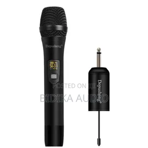 Wireless Microphone Depusheng
