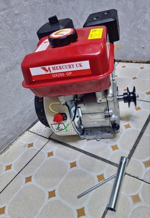 Mercury Uk Petroleum 8.0hp Engine - main view