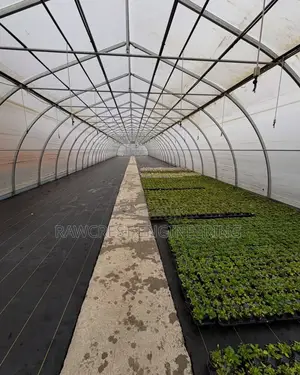 Greenhouse Construction