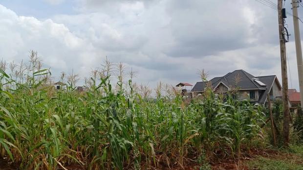 Ruiru, Mugutha 50x100 Plots - thumbnail 5