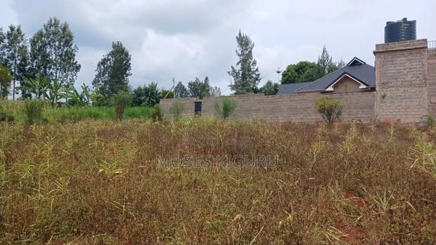 Ruiru, Mugutha 50x100 Plots - thumbnail 6