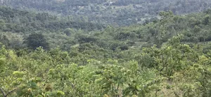 Makuyu 20 Acres for Sale.