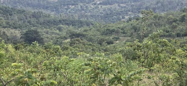 Makuyu 20 Acres for Sale. - thumbnail 2