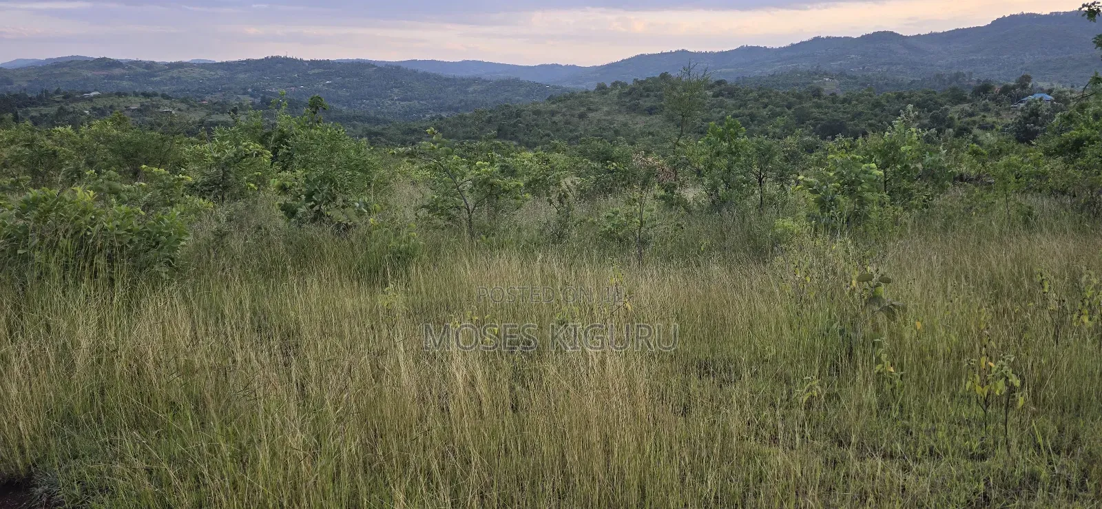 Makuyu 20 Acres for Sale.