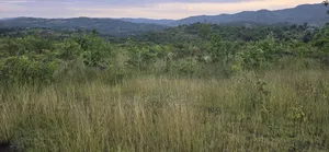 Makuyu 20 Acres for Sale.