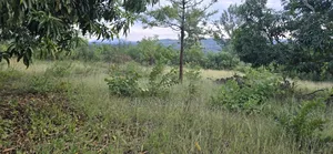 Makuyu 20 Acres for Sale.
