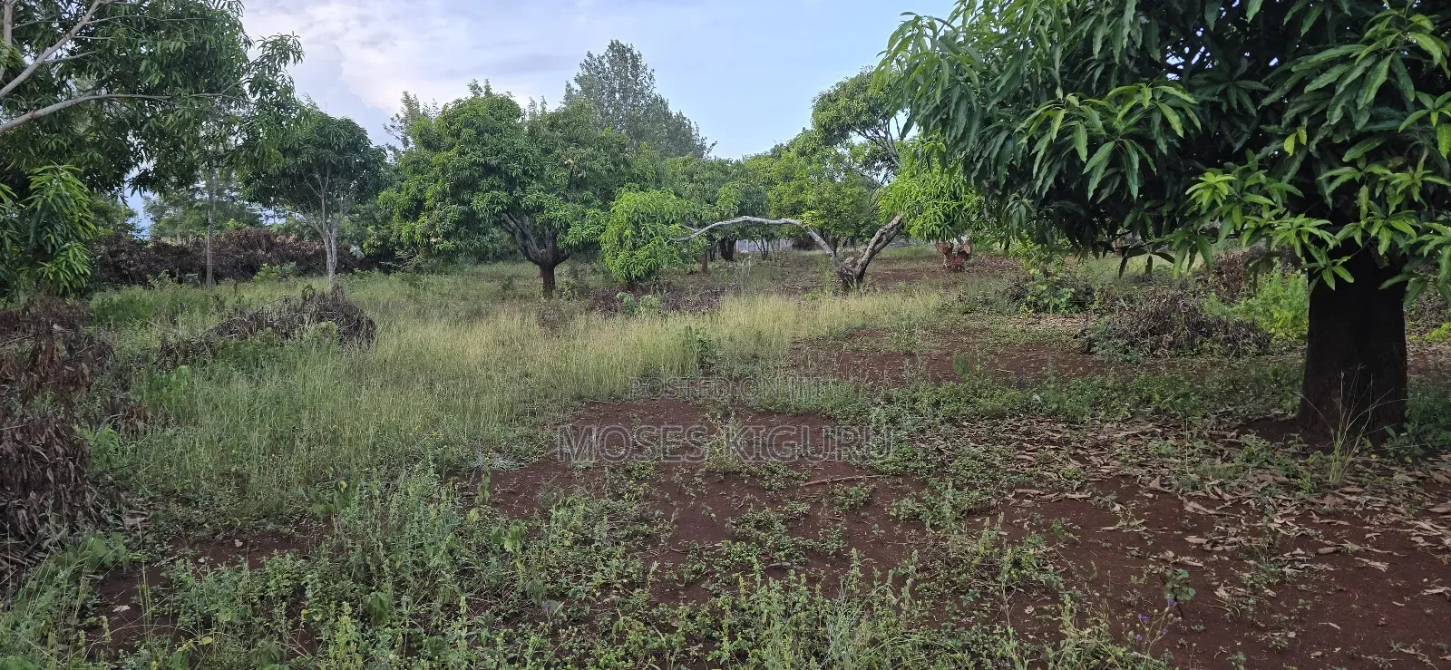 Makuyu 20 Acres for Sale.