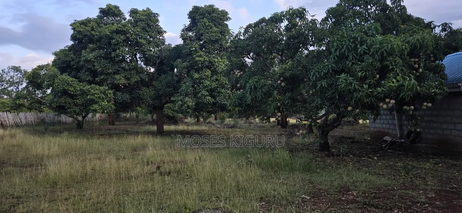 Makuyu 20 Acres for Sale.