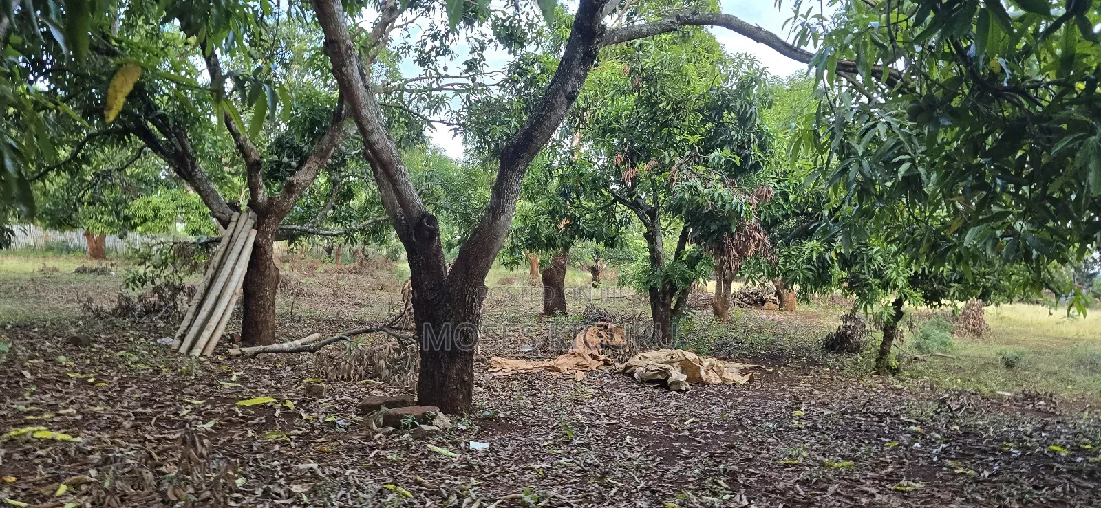 Makuyu 20 Acres for Sale.