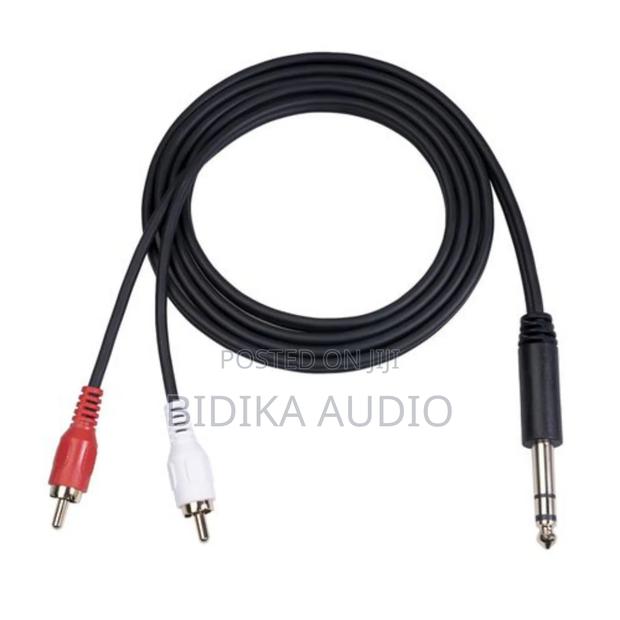 Male to Dual Rca Male Cable