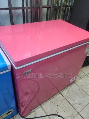 Clean Working Deep Freezer 300litres