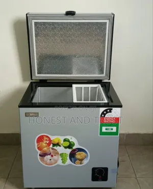 60 Litres Ecomax Freezer