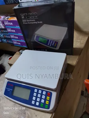 Electronic Digital Scale/30kg Dt580 Scale