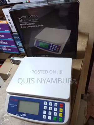 Electronic Digital Scale/30kg Dt580 Scale