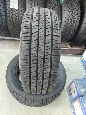 235/55r19 Sailun Tire
