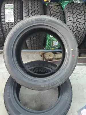235/55r19 Sailun Tire