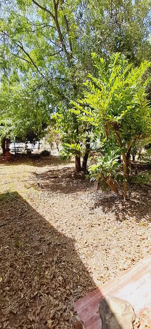 For Sale One Acre Land Nyali