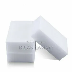 Multi-purpose Magic Sponge