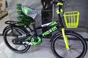 Size 20 Bike