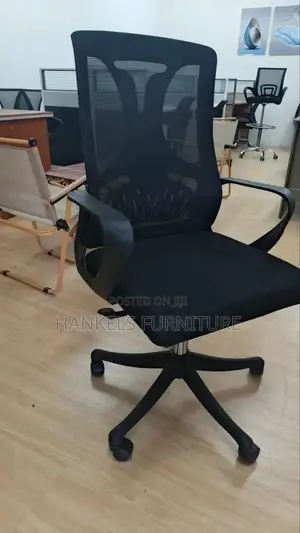 Executive Ergonomic Chair