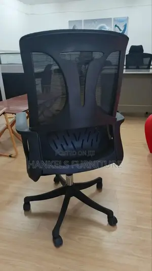 Executive Ergonomic Chair