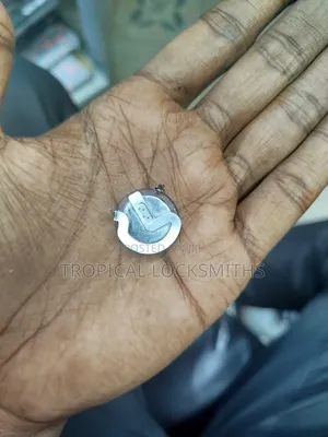 BMW Key Battery