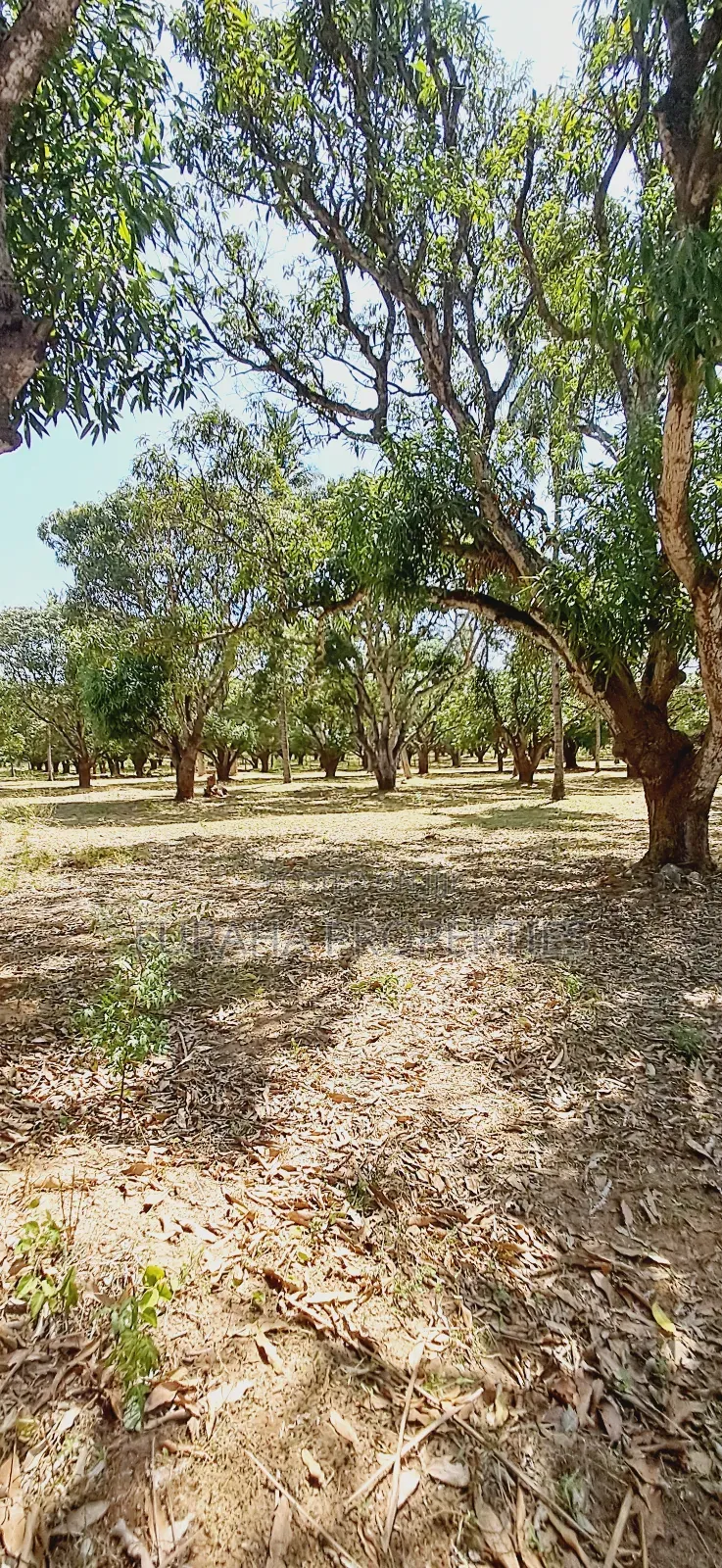 For Sale One Acre Land Mtwapa