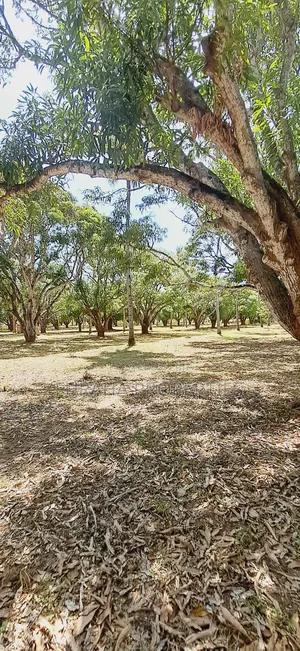 For Sale One Acre Land Mtwapa