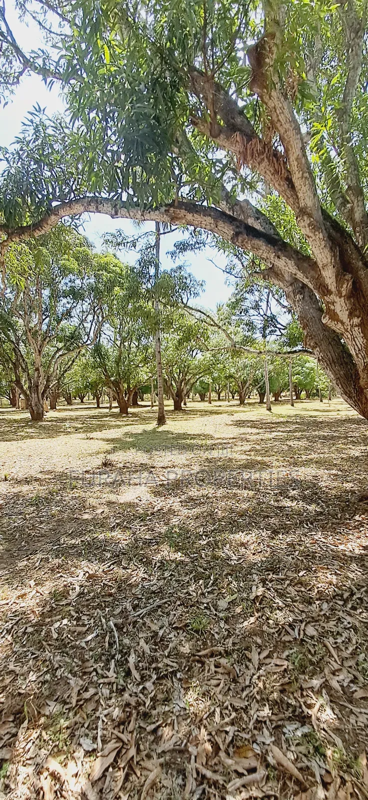 For Sale One Acre Land Mtwapa