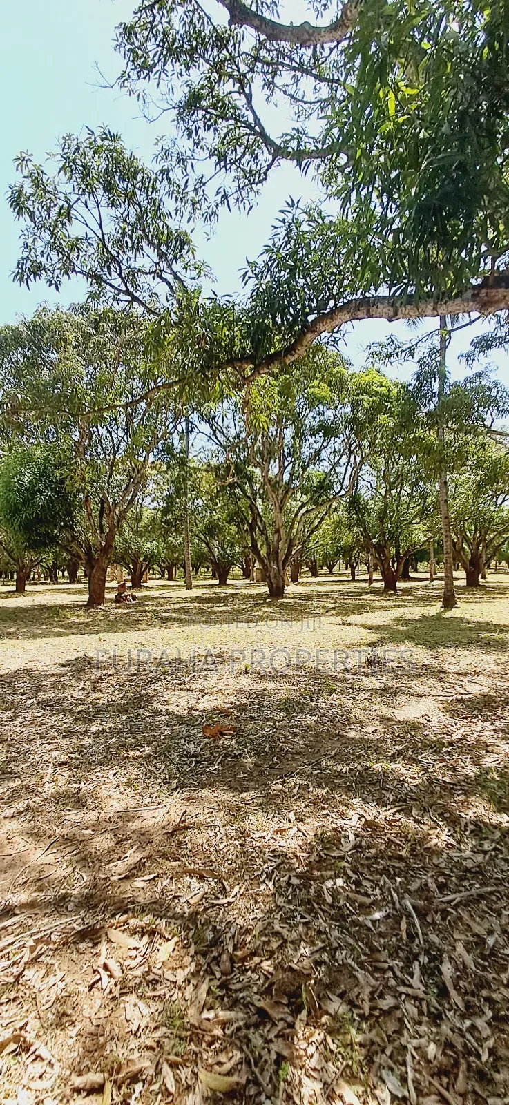For Sale One Acre Land Mtwapa