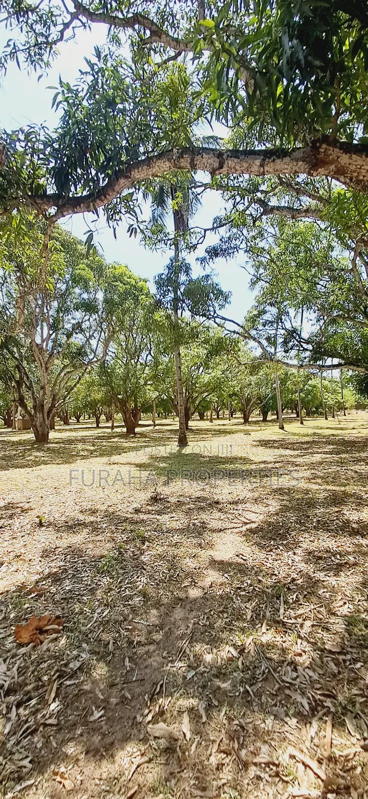 For Sale One Acre Land Mtwapa