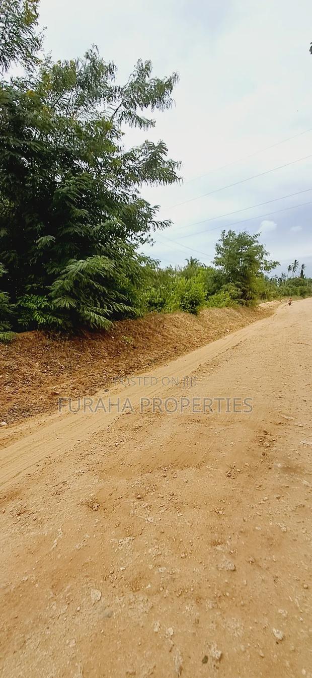 For Sale 4 Plots of Quater Acre Diani - thumbnail 5