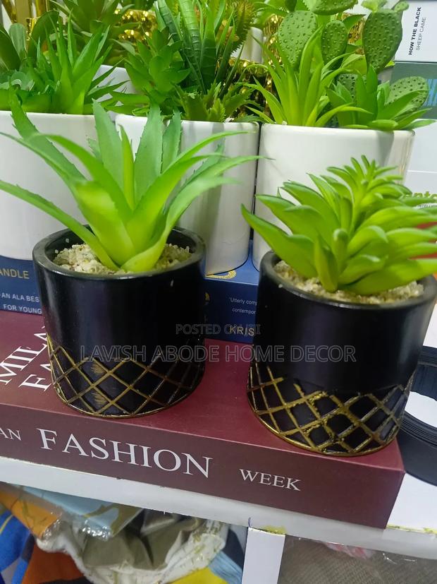 Ceramic Artificial Succulents