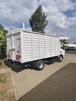 Brand New Isuzu NMR Blue Power
