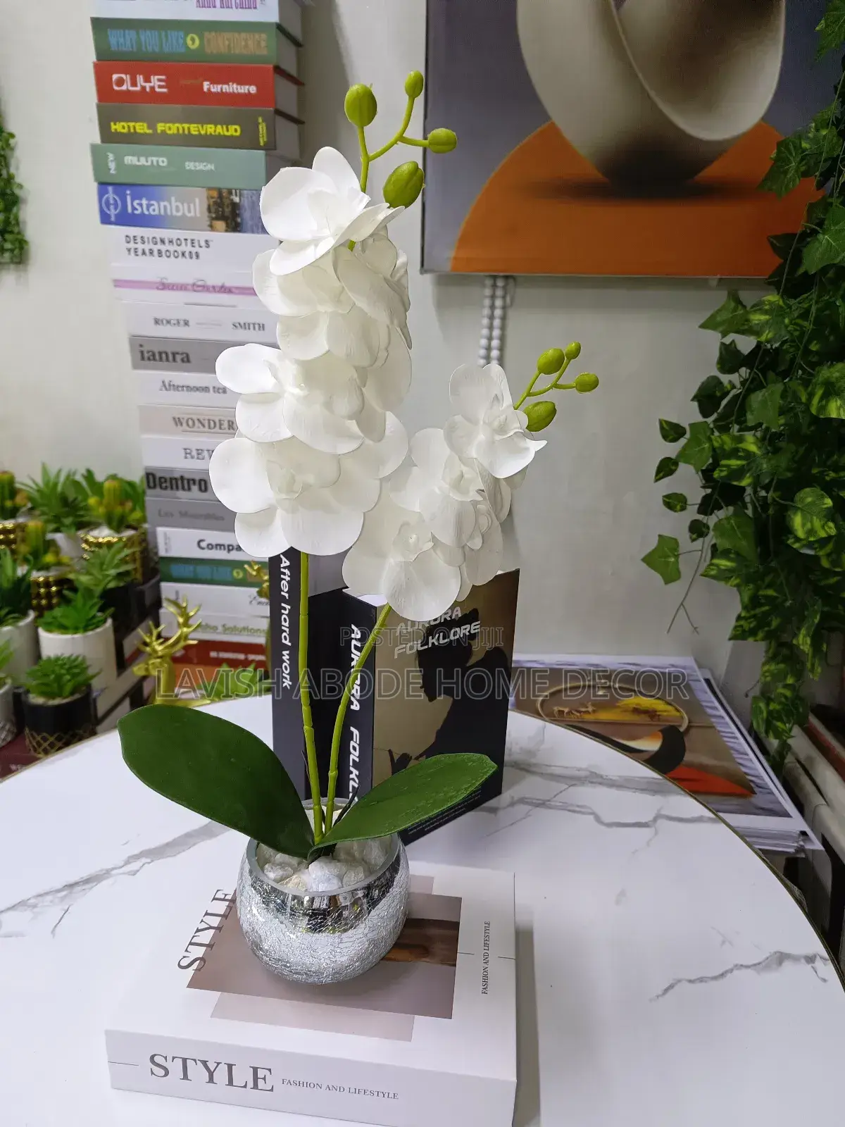 Silver White Orchid Flower
