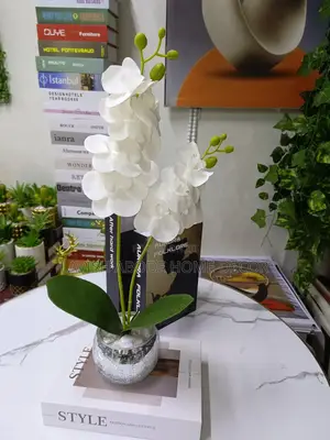 Silver White Orchid Flower