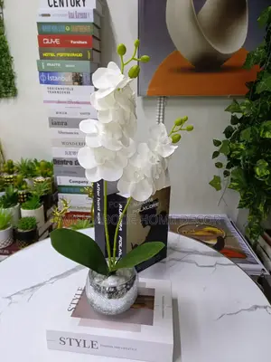 Silver White Orchid Flower