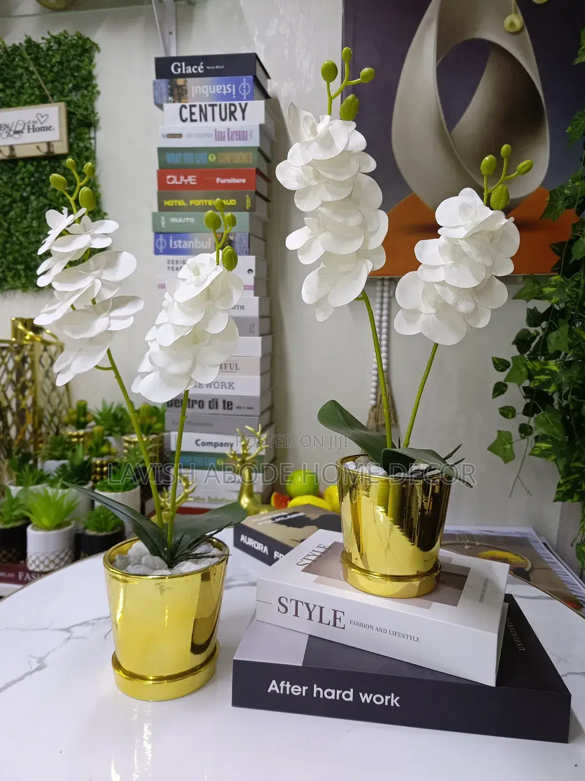 Gold White Orchid Flower
